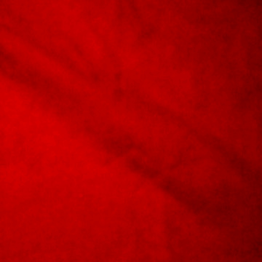 Red tshirts t women or ladies gildan